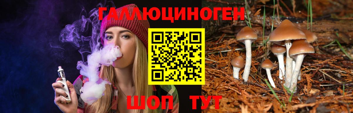 Электросталь  Псилоцибиновые грибы MAGIC MUSHROOMS  Псилоцибиновые грибы Psilocybe  Вход с VPN 
